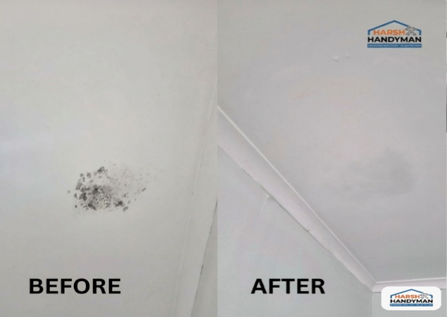 Mould Treatment
